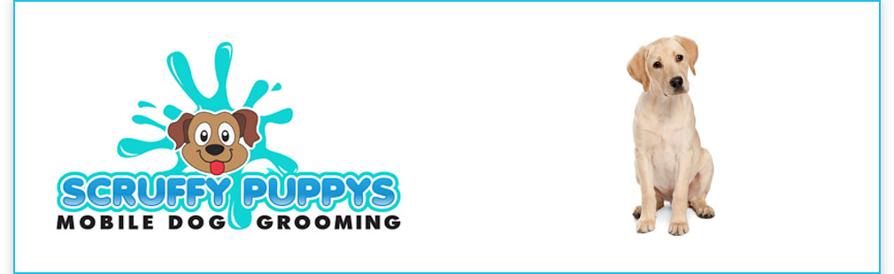 Scruffy Puppys - Mobile Dog Grooming